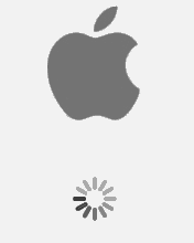 pic for Apple Spin